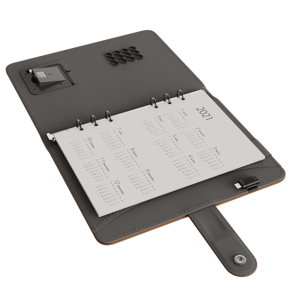 Agenda Planner com Indução - VX Case