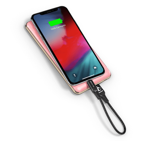 Cabo para iPhone/iPad USB Lightning Dragon Mini 20 cm VX Case